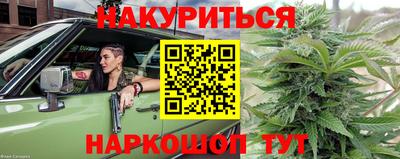 дмт Камышлов