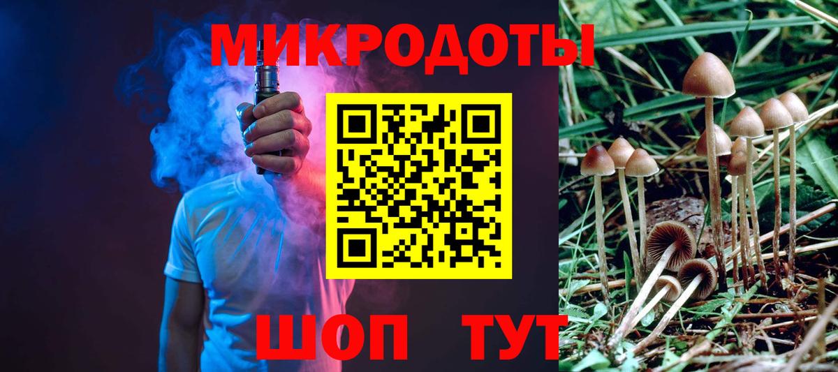 Галлюциногенные грибы Psilocybine cubensis Лянтор